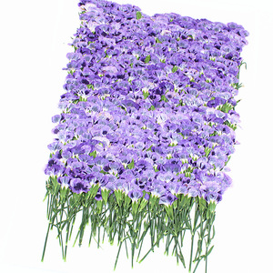 Mini-fleurs de carnation séchées pressées naturelles, fleurs de dianthus pour l'artisanat en résine DIY, décoration intérieure - Product Image 6