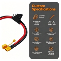 Câble de haute intensité 12AWG avec faisceau de fils en silicone et connecteurs personnalisés XT60 XT30 XT90 pour batterie LiPo RC et drone FPV