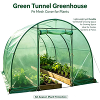 Grande serre tunnel de jardin extérieure avec structure en acier, installation facile, résistante aux UV, revêtement en poudre