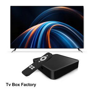 Nouvelle Box de Streaming Dcolor DC2 Certifiée Google Amlogic S905Y4 Compatible Google Play avec les Meilleurs Vendeurs - Product Image 5