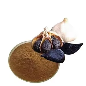 Extrait/Poudre d'<span class=keywords><strong>ail</strong></span> noir premium 10:1, soluble dans l'eau, non-OGM/certifié biologique, échantillon gratuit, réduction sur les achats en gros - Product Image 2