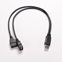 Câble séparateur USB Y de haute qualité en cuivre pur USB 2.0 mâle vers 2 femelles