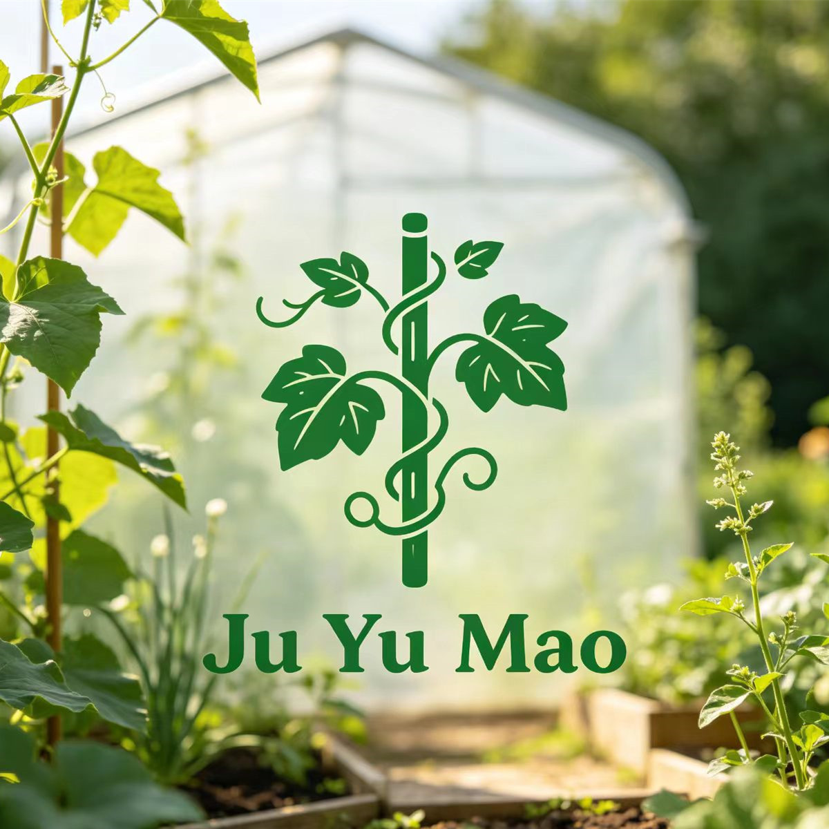 Hubei Ju Yu Mao Trading Co., Ltd. logo