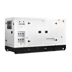 Rife diesel-elektrische anlage china home marke 100kw 125 kva Stille container generator preis