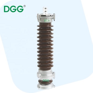 <span class=keywords><strong>Parafoudre</strong></span> monophasé DGG pour lignes aériennes, protection contre la foudre pour l'alimentation électrique rurale et les infrastructures d'irrigation agricole - Product Image 1