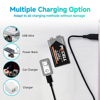 Batterie au lithium rechargeable USB-C PKCELL 9V 3700mAh pour télécommandes, jouets, outils électriques et appareils électroniques grand public, usine chinoise