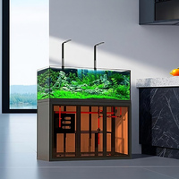 Aquarium en verre style industriel à vue ouverte avec filtre à débordement latéral, pompe de filtration et faible entretien pour rivière ou ruisseau