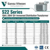 Transformateur de distribution triphasé immergé dans l'huile S22-M 10kV 20kV 30-2500kVA, niveau 1, à pertes ultra-faibles, abaisseur de tension pour réseau solaire