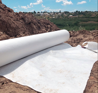 Tissu géotextile à fibres courtes haute résistance pour la construction routière, les systèmes de drainage, la filtration et la stabilisation des sols