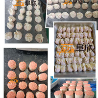 Machine à wontons semi-automatique avec moteur, haute capacité 30-50 pièces/min pour restaurants