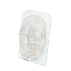 Modelo Facial DARHMMY de Alta Transparencia para Entrenamiento de Microcirugía, Práctica de Inyección Facial para Relleno de Ácido Hialurónico - Product Image 3