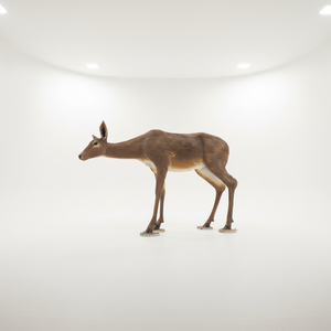 Scultura di Cervo in Fibra di Vetro su Misura MALTON, Statua di Animale Maschio in Resina con Design 3D - Product Image 5