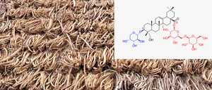 Extrait de Dipsacus Asper de haute pureté (Asperosaponine VI) 98% HPLC - Ingrédient botanique standardisé pour la recherche et la formulation - Product Image 2