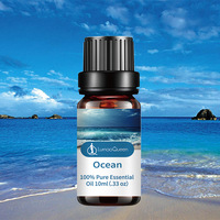 Unidad de 10ml de Aceite Esencial Puro para Venta al por Mayor Transfronteriza, Aromaterapia, Masajes, Cuidado de la Piel, Químicos Diarios, Lavanda Cruda