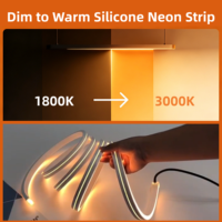 PWM Control Gradation 24V IP68 Lumière Ambiante Top Bending Dim to Warm Ra95 Silicone Neon LED Étanche Façade Plafonnier Intérieur