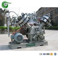 Compresor de Diafragma de Helio de Alta Pureza con Certificación CE, Entrada de 6 Bar, Salida de 200 Bar, Flujo de 35 Nm3/h, para Uso Industrial