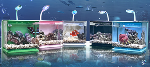 Klein, exquisit, vierkant, mini ecologisch aquarium van acryl met led-verlichting en USB-aansluiting. - Product Image 4