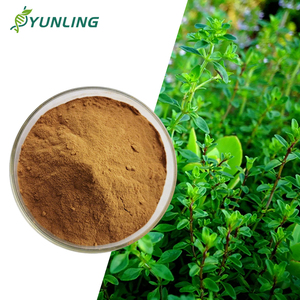공장 공급 식품 등급 허브 추출물 타임잎 추출물 분말 타임스 불가리스 98% 비타민 함유 도매 - Product Image 1