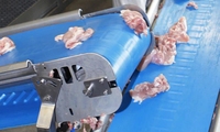 Banda Transportadora de PU TPU Azul de Grado Alimenticio, Fácil de Limpiar, Anti-hidrólisis, para Procesamiento de Carne, Mariscos y Lácteos