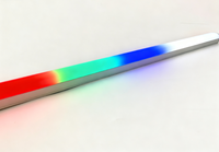 Lumière de course RGB DMXW Pixel prend en charge le dégradé 20*18mm Étanche Extérieur Néon Convient aux grandes façades de centres commerciaux