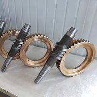 Haiyuan OEM/ODM Engrenage à vis sans fin et arbre à vis sans fin en acier allié traité thermiquement, grand module, sur mesure, non standard, en bronze pour réducteur industriel