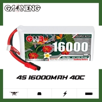 GAONENG GNB 4S 14.8V 16000mAh 40C 80C XT150 RC LiPo Batterie Drone à grande échelle Agriculture Quadcopter Avion UAV RC Truck Quads