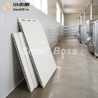 Panel de Pared de PVC para Casa Prefabricada, Construcción Modular, Impermeable, Ligero, Sistema de Enclavamiento