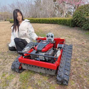 Cortadora de Césped Robótica Autopropulsada 550 en Oferta - Navegación Inteligente para Jardín, Envío Gratuito, Cortadora de Césped Autopropulsada 550J - Product Image 4