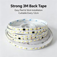 Bande lumineuse LED 192 LED 8MM 2835 SMD CCT 110V 220V haute tension à changement de couleur sans alimentation électrique