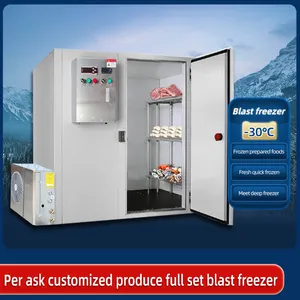 Venta caliente Walk In Blast Freezer para mariscos Quick Freezer