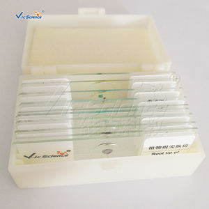 医療用TeachingHistology Hyaline Cartilage Secが準備したスライドはウサギの舌の味の芽を示しています動物の組織学が準備したスライド - Product Image 2