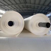 Fabricants Vente en gros Polyester non tissé Filtre à poussière/feutre en rouleaux