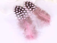 Teint naturel 50pc ploybag plume de guinée pour bricolage artisanat cheveux Costume accessoire de pêche mouche attachant ornement rêve frange décor