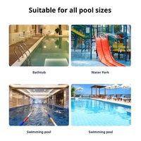Échelle de piscine en acier inoxydable 304 316, pédale d'échelle, outils et accessoires de piscine, échelle de piscine avec type d'ancrage