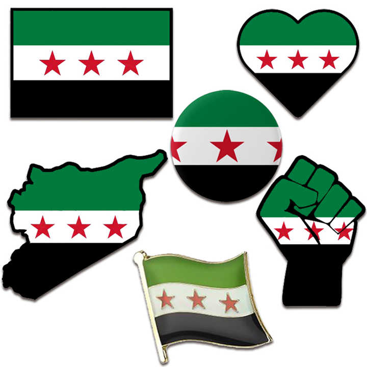 Factory Custom Enamel Metal Double Friendship Brooch Lapel Badge National Map Country Flag Enamel Pin Syria Flag for Green