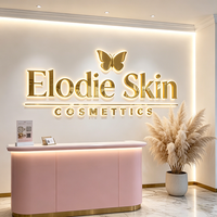 Enseigne de magasin personnalisée avec logo d'entreprise en 3D éclairé, imperméable, lettres rétroéclairées dorées polies, enseigne extérieure pour entreprise