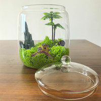Mini Terrario de vidrio con contenedor de naturaleza DIY con tapa de vidrio para Decoración de mesa de paisaje que sirve como urna o jarrón elegante