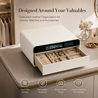 Coffret de sécurité pour bijoux en cuir de luxe, design fixe tout en acier avec écran LCD et alarme par vibration