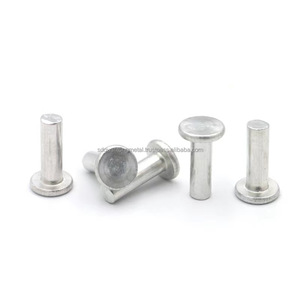 Steel Common Nails for Wood House <b>Aluminum</b> <b>Flat</b> Umbrella Head Double Brad Cap Style Fluted Shank Type Ring for Roofing Woodwork - Product Image 3