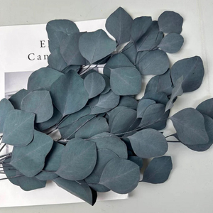 Foglie di <span class=keywords><strong>Eucalipto</strong></span> Preservate Artigianali Eco-Friendly, Fiori Secchi Ornamentali, Vendita all'Ingrosso, Lunga Durata, Fai da Te, San Valentino - Product Image 6