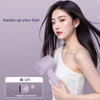Sèche-cheveux Nano Ion à grande vitesse pour des résultats de salon personnalisés Sèche-cheveux OEM ODM SKD pour le séchage des cheveux des femmes