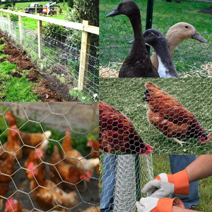 Filet à poules portable, clôture légère pour enclos temporaire <span class=keywords><strong>de</strong></span> volaille et cloison <span class=keywords><strong>de</strong></span> jardin - Product Image 3
