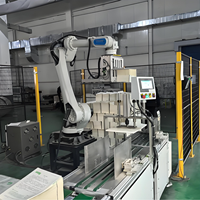 Système de palettisation robotisé CST, moteur PLC, pince à vide haute efficacité, vitesse réglable, garantie 1 an pour l'industrie