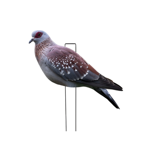 Customized Multiple Waterproof Plastic Lifelike Anti-reflective PP Pigeon Rock Dove <strong>Decoys</strong> Silhouette <strong>Decoys</strong> <strong>Hunting</strong> <strong>Decoys</strong> - Product Image 6