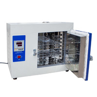 Four de séchage thermique électrique de laboratoire pour le traitement des minerais, le séchage d'échantillons de minerai, contrôle PID de haute précision