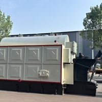 Chaudière à vapeur à biomasse à alimentation automatique à grille à chaînes DZL de 2 tonnes