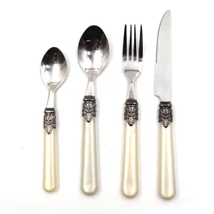 Cathylin 20-Piece High Grade Acrylic Handle Plastic Cutlery Set, Stainless Steel Knife Spoon Fork Flatware