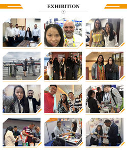 Sellador <span class=keywords><strong>de</strong></span> Poliuretano <span class=keywords><strong>de</strong></span> Alto Módulo 400g, Resistente a los Rayos UV, Impermeable, para Unión <span class=keywords><strong>de</strong></span> Juntas y Adhesión - Product Image 6