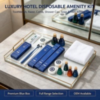 Ensemble d'articles de toilette pour hôtel Business Blue : Shampoing, Après-shampoing, Gel douche, Lait corporel, Savon, Articles de toilette jetables, Logo personnalisé OEM