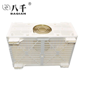 <span class=keywords><strong>Paquet</strong></span> <span class=keywords><strong>d</strong></span>'abeilles en plastique Cage ventilée Cage de transport <span class=keywords><strong>d</strong></span>'abeilles Bus <span class=keywords><strong>d</strong></span>'abeilles pour Queen - Product Image 3